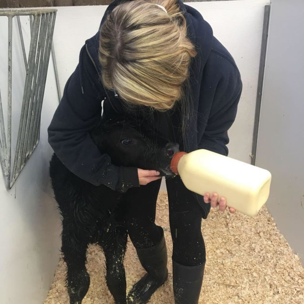 Meet your Posher, Emily